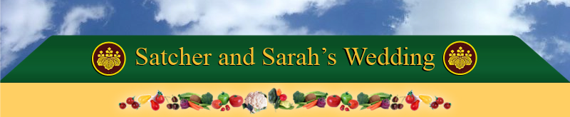 Wedding Banner
